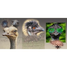 TRI-INSPIRAZION GREETING CARD Emu Portraits